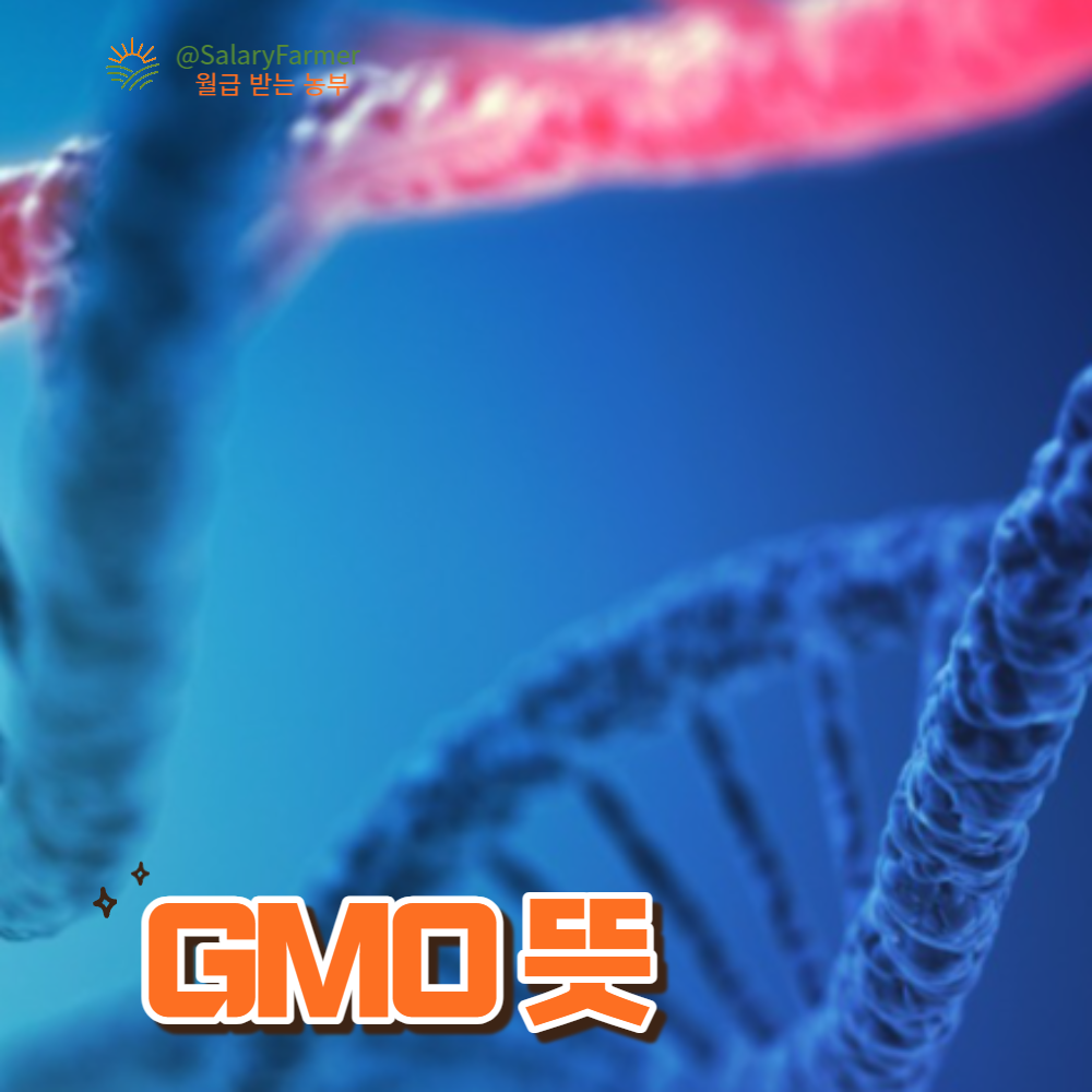 GMO-뜻-GMO-식품