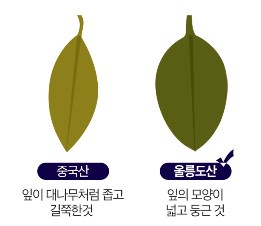 울릉도 자연산 산마늘 vs 중국산 비교