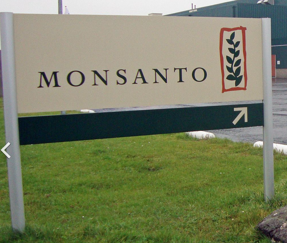 GMO 개발기업-몬산토